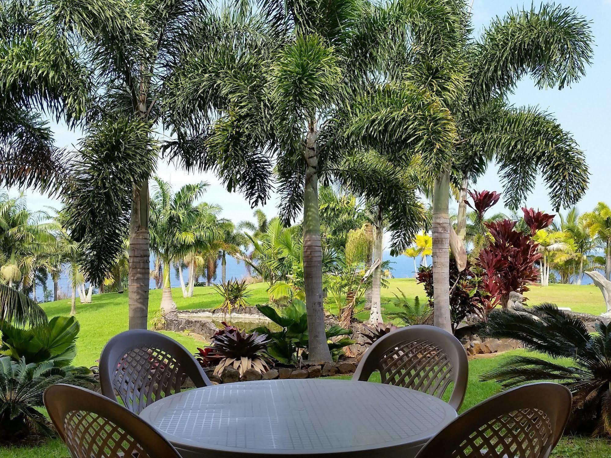 Oceanfront Vacation Rental Honomu Kültér fotó